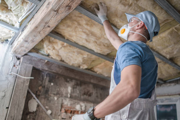 Best Insulation Maintenance and Repair in Nitro, WV